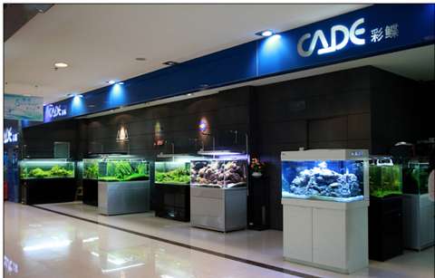 Photo: Sydney Discus World Aquariums